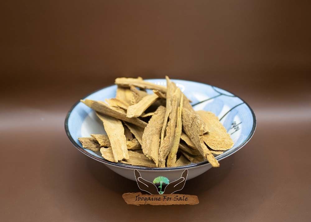 Best Rehabs with Ibogaine-Assisted Treatment: Exploring Global Standards and Healing Pathways