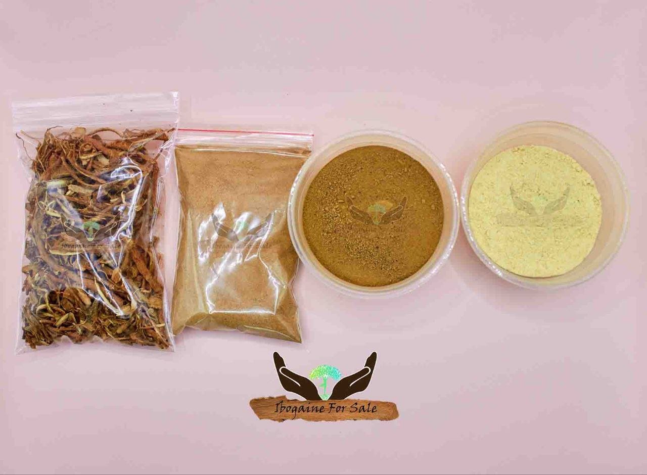 The Modern Revolution of Ibogaine Addiction Treatment, Ibogaine Detox, and Ibogaine PTSD Treatment