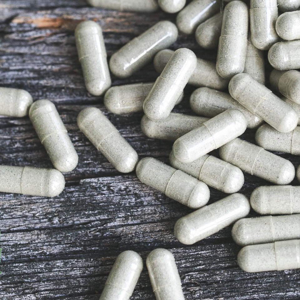 Ibogaine and Neuroplasticity: Current Research Insights for 2026