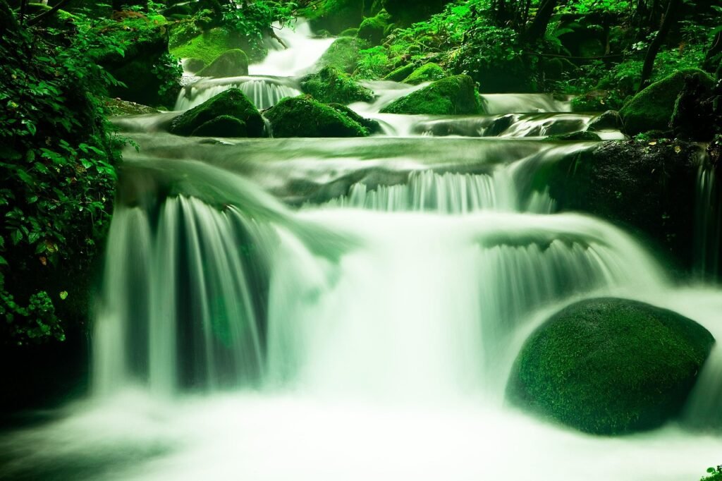 Emotional Healing Journey