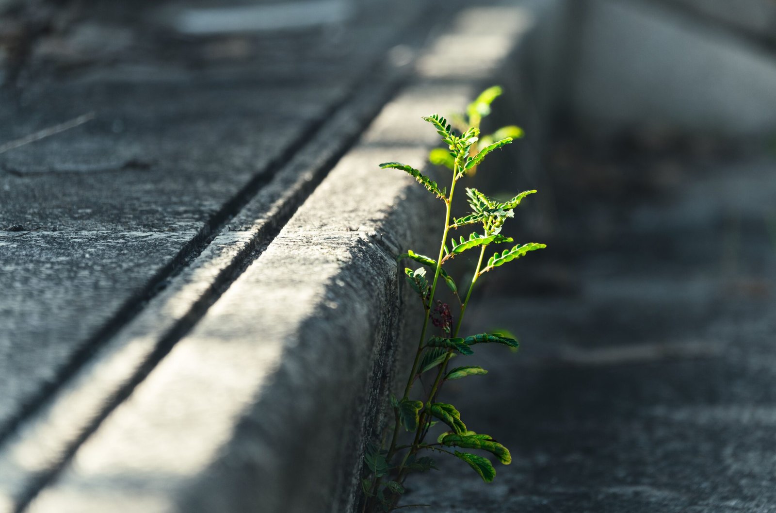 Building Emotional Resilience